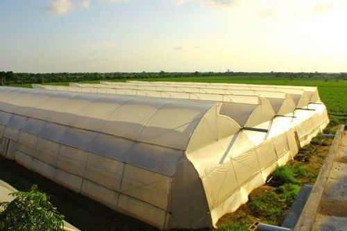 Flower Greenhouse