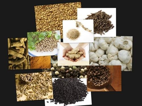 Food Grains