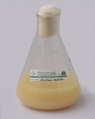 Bacillus Subtilis - Liquid Fungicide | Highly Effective Bio-Fungicide for Controlling Downey Mildew, Powdery Mildew and Leaf Blight, pH Level 6.8 - 7.2