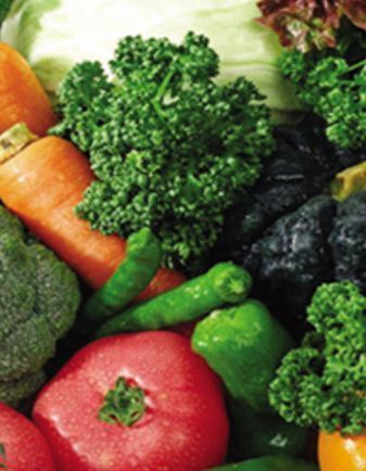 Organic Vegetables - Fresh and Pure Selection | Healthy, Hygienic, Naturally Grown Without Harmful Chemicals