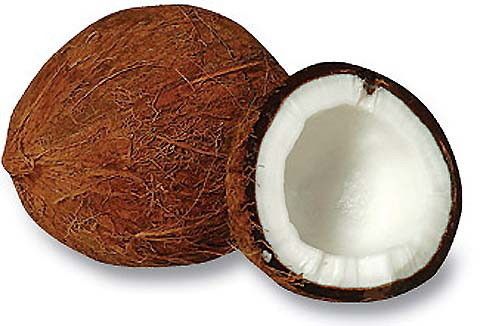 Organic Coconut Copra