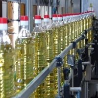 Crude Sunflower Oil - Clear and Bright Appearance, Odorless and Bland Flavor | Low Free Fatty Acid, Consistent Quality Assurance