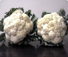 Cauliflower Seeds