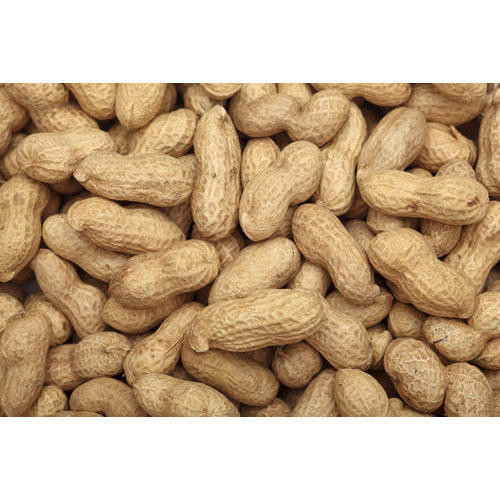 Fresh Groundnut Kernels