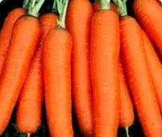 Nanteco Carrot European Seeds