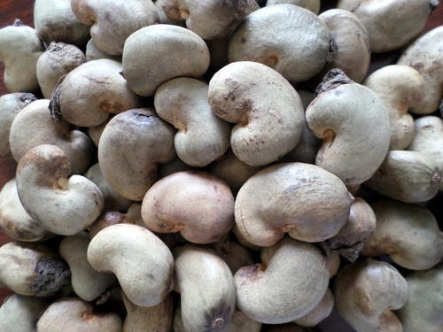 Brown Raw Cashew Nuts