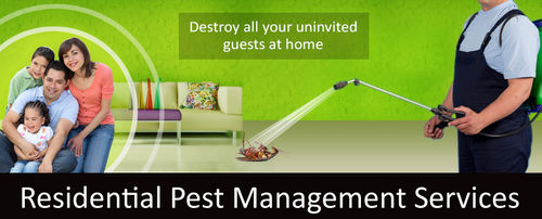 Residential Pest Management Service - Expertly Delivered Solutions | Affordable Rates, Superior Quality, Experienced Team