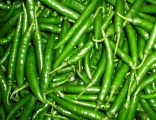 Fresh Green Chilli