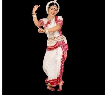 Classical Dance Costume Rental Services