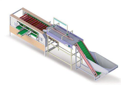 Onion Grading Machine By Osaw Agro Industries Pvt. Ltd.