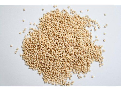 Milky White Sorghum - 99% Purity, 13% Moisture | Machine Cleaned Grains, Boosts Blood Circulation and Energy Levels, Reduces Cancer Risk