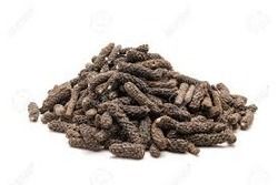 High Grade Organic Long Pepper