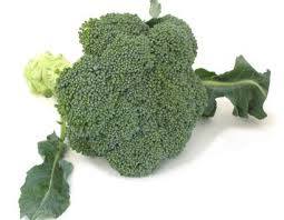 Organic Broccoli