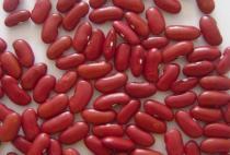 Red Kidney Bean