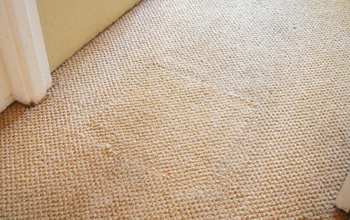 Patch Carpet