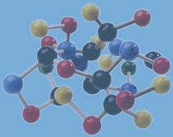 Sodium Tertiary Butoxide Purity: 100%