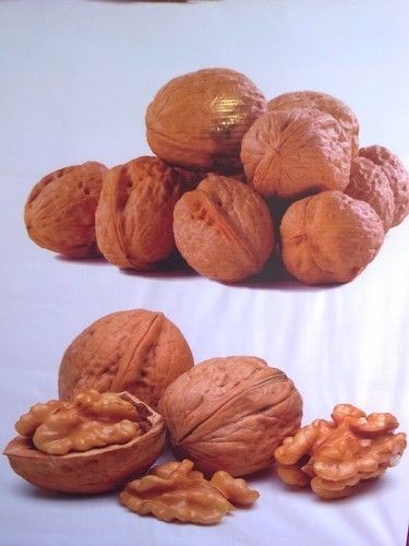 Shelled Walnuts