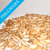 Phulwara Seeds