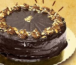  चॉकलेट व्हिप टॉपिंग क्रीम केक