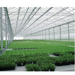 Green House Sheet