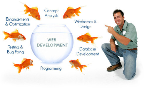 Development Services - Full-Proof Functionality & Timely Execution | Value-Effective Reliable Flexible Well-Executed Solutions