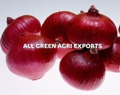 Red Onion - A Grade Quality, Excellent Taste, Perfect Size | Premium Packaging from Dharmapuri, Tamil Nadu