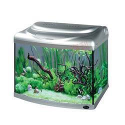 Glass Aquarium - 290X270X370mm, 30L Capacity , Dual Color PL Lamp 11 Watt with Blue and White Light, Internal Filter RP 200 3.5 Watt Flow Rate 200L/H