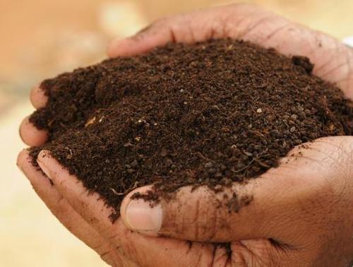 Organic Fertilizer