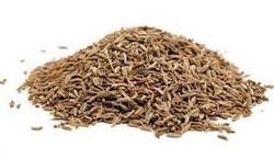 Cumin Seeds