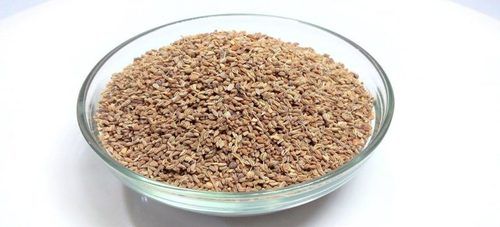 Fresh Ajwain Seeds