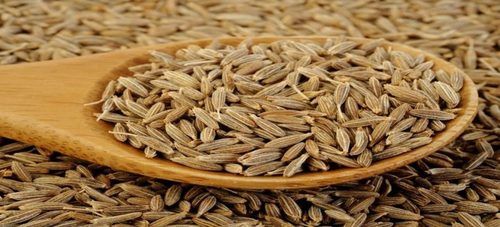 Fresh Quality Cumin Seeds