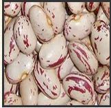 Light Speckled Kidney Beans