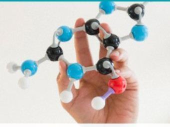 Gastrointestinal Agents