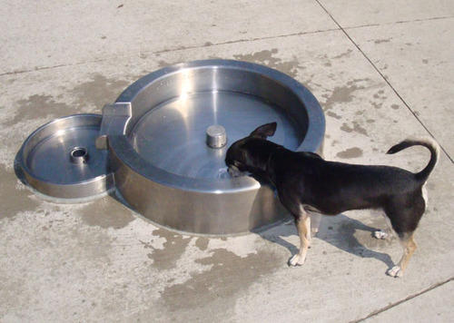 K9 Fountain Dog Bowl