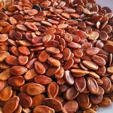 Watermelon Seeds - 100% Maturity, Various Sizes 8mm to 11cm | 99.9% Purity, 15% Moisture, 50kg New PP Bags