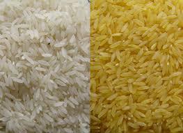 Non Basmati Rice