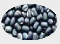 Black Lentils Pulses