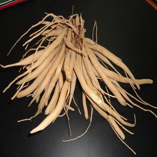 Shatavari Roots - Organic Dried Herbal Roots | Known to Alleviate Gastric Ulcers and Dyspepsia