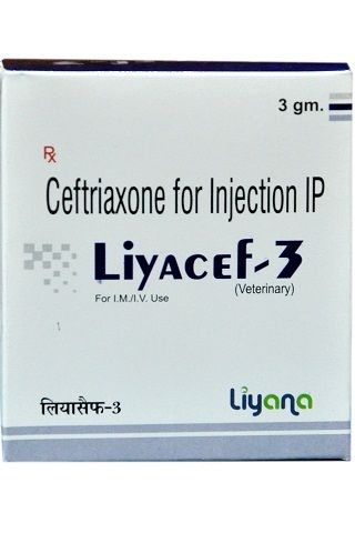 Ceftriaxone Injection For Veterinary