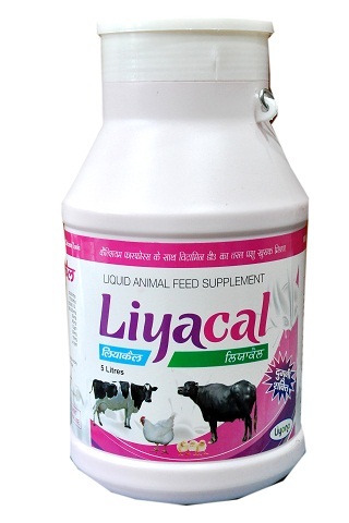 Liquid Animal Feed Supplement at Best Price in Karnal | Liyana Vet Pharma