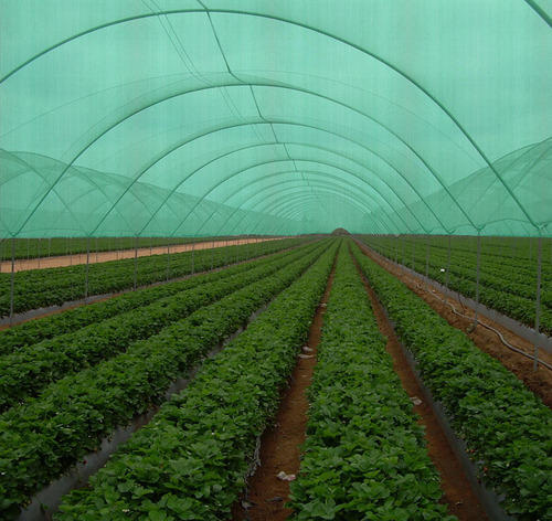 Agricultural And Horticultural Shade Nets