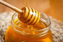 Bayberry Premium Natural Honey