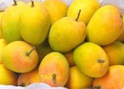 Fresh Mango