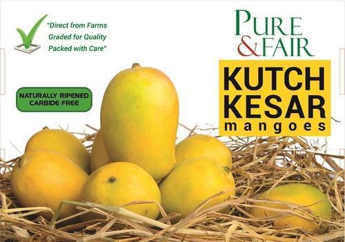 Kutch Kesar Mangoes