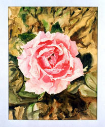 Water Color Rose Painting