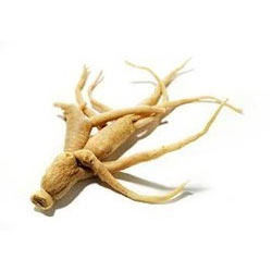 Ginseng Root