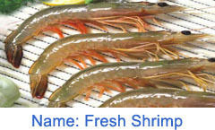 Fresh Shrimp Fish