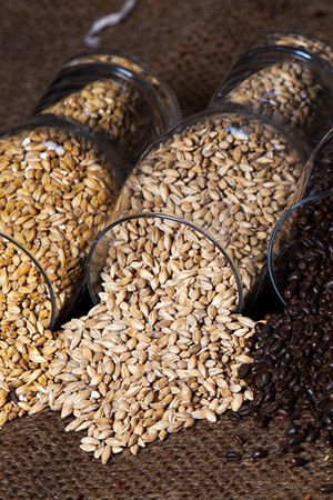 Barley Malt