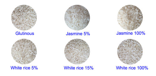 Vietnam Glutinous Rice 10% Broken