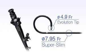 Flexible Fiber Ureteroscope